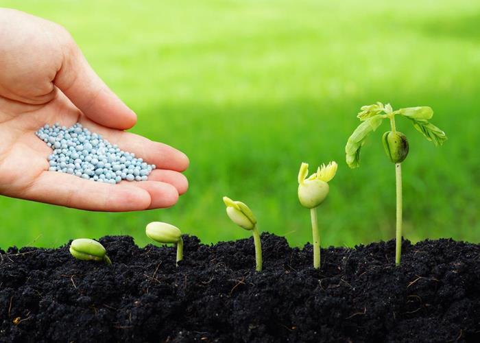 科技特派员助力乡村振兴