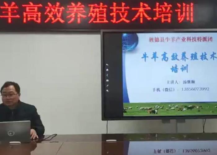 牛羊高效养殖技术培训
