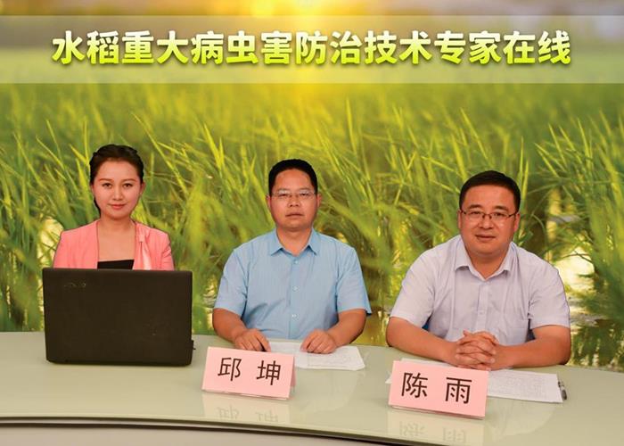 水稻重大病虫害防治技术专家在线