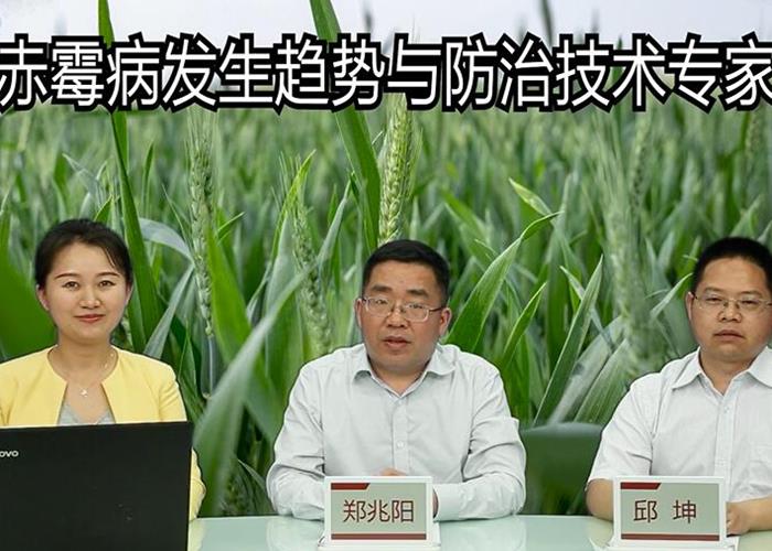 小麦赤霉病发生趋势与防治技术专家在线