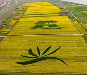 鄂州实现湖北科技特派员工作站乡镇全覆盖