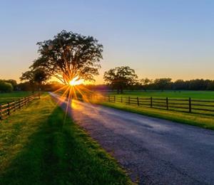 湖北鄂州：农业科技从技术突破到产业创新结硕果